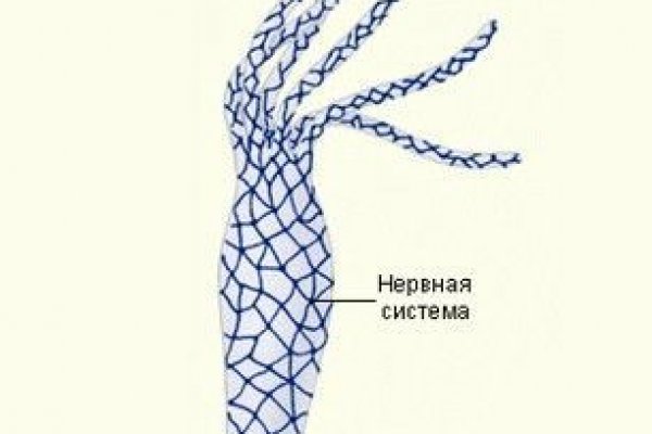 Кракен shop