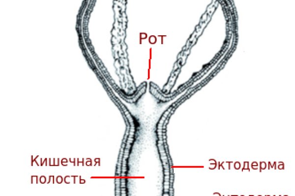 Кракен омг мега