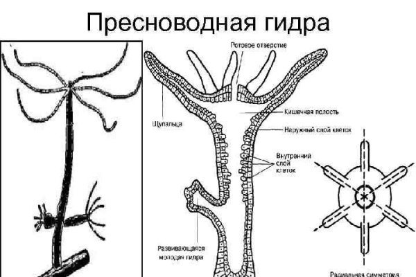 Кракен браузер