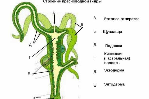 Скачать кракен тор