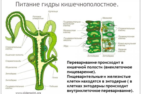 Кракен ссылка призыва нет