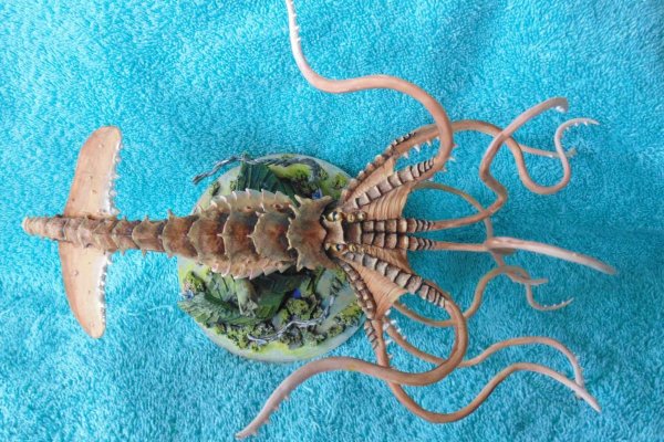 Kraken смылка