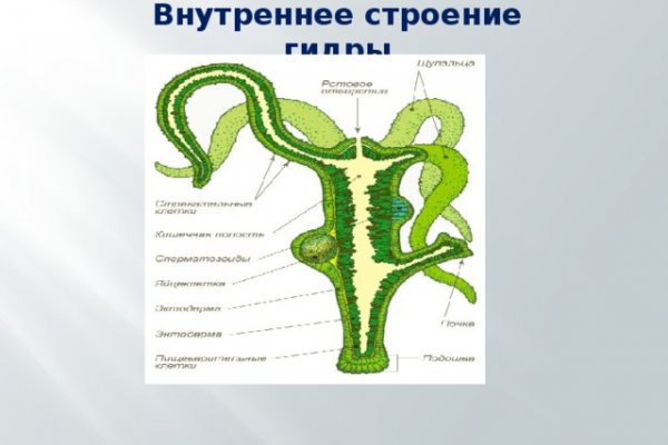 Кракен вход на сайт