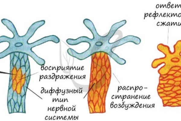 Kraken магазин интернет