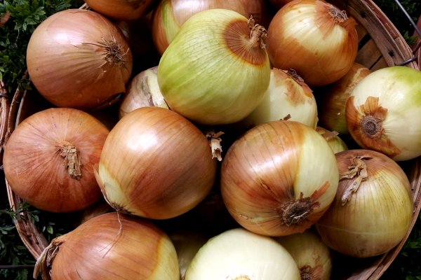 Onion сайт кракен